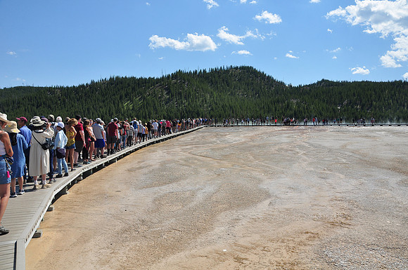 The Line