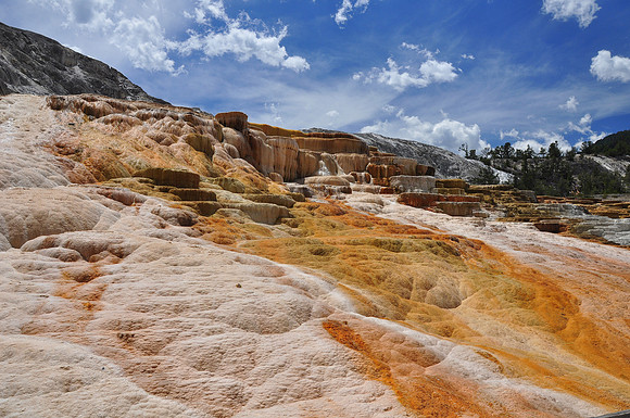 Mammoth Hot Springs at YellowStone