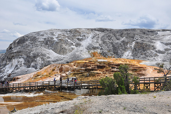 Mammoth Hot Springs