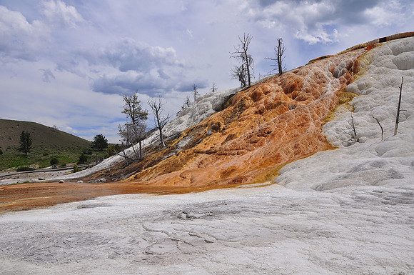 Mammoth Hot Springs