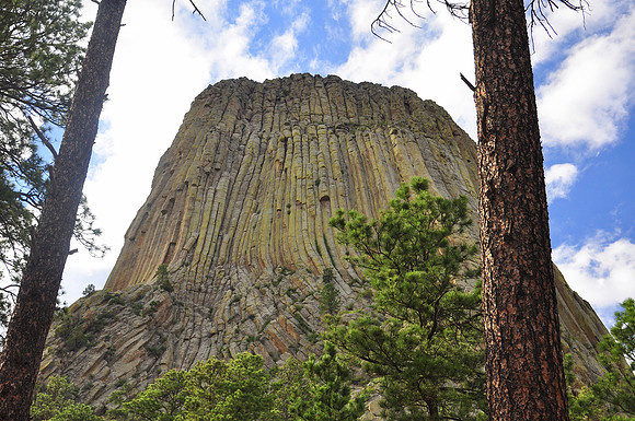 Devil’s Tower National Monument, Wyoming: Closeup view of columns of rocks