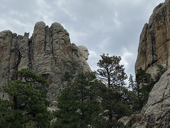 Lonely Washington on the mountain