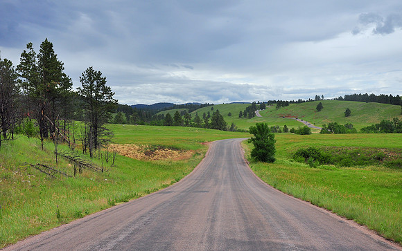 Custer State Park, South Dakota