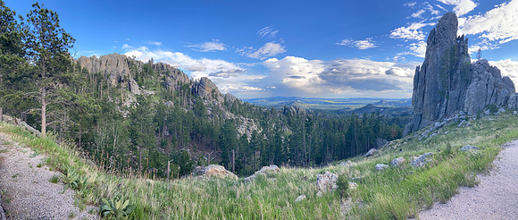 Custer State Park, South Dakota
