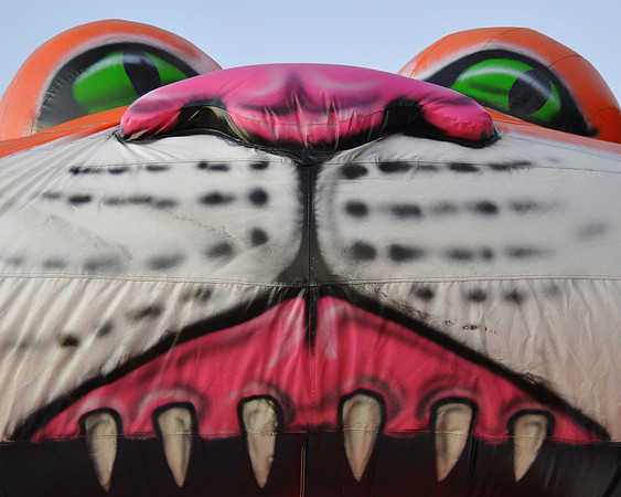 Predator eyes & teeth